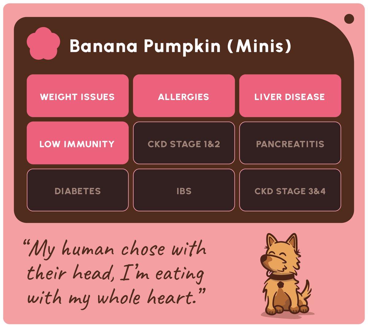 SOOPA MINI HEALTHY BITES PRZYSMAK DLA PSA BANANA PUMPKIN 50G
