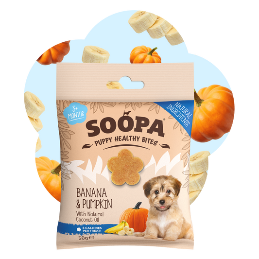 SOOPA PUPPY HEALTHY BITES PRZYSMAK DLA PSA BANANA PUMPKIN 50G