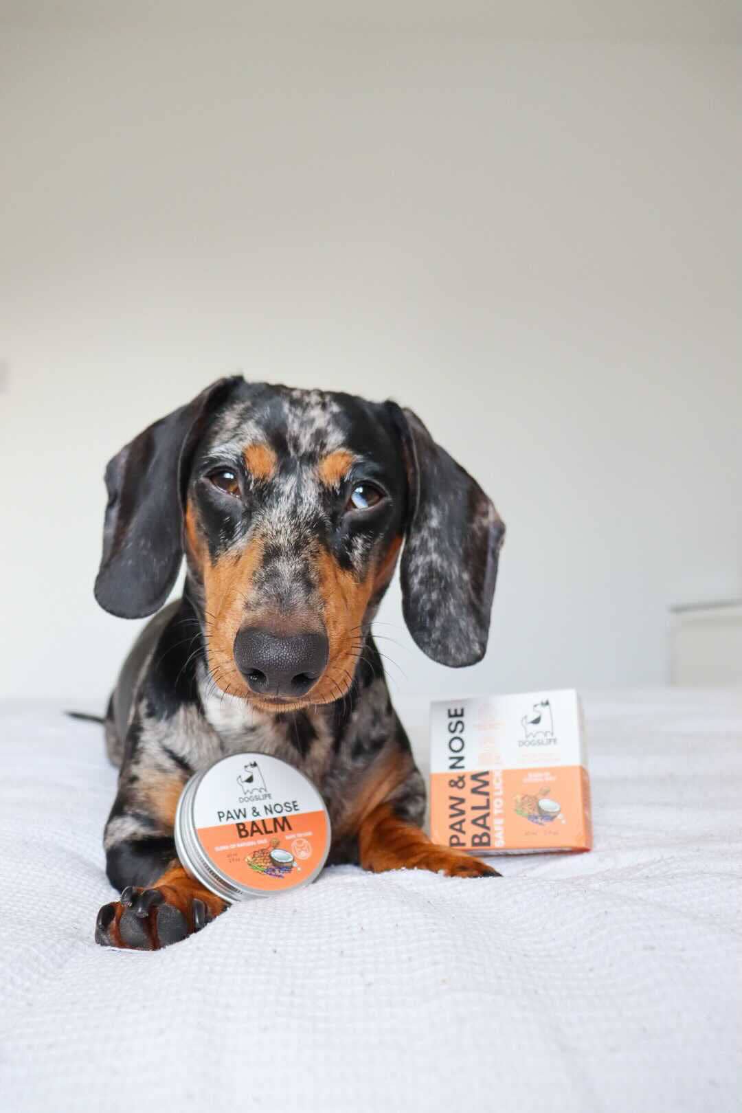 OURPETSLIFE BALSAM OCHRONNY DO ŁAP I NOSA