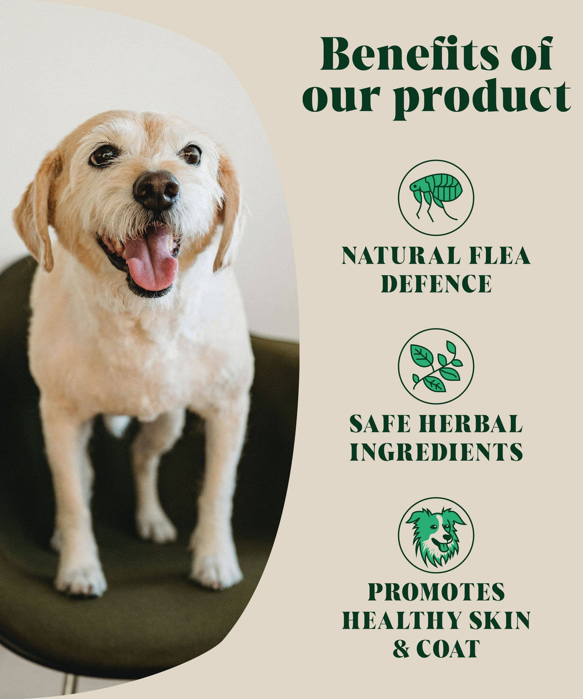 HACKNEY DOG HOUSE NATURALNY PROSZEK NA PCHŁY I KLESZCZE DLA PSÓW
