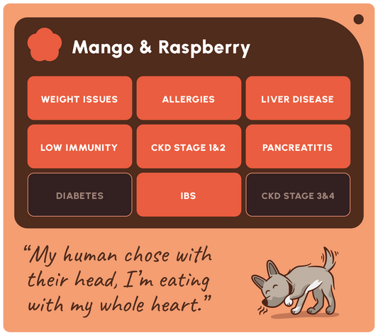 SOOPA HEALTHY BITES PRZYSMAK DLA PSA MANGO RASPBERRY 50G