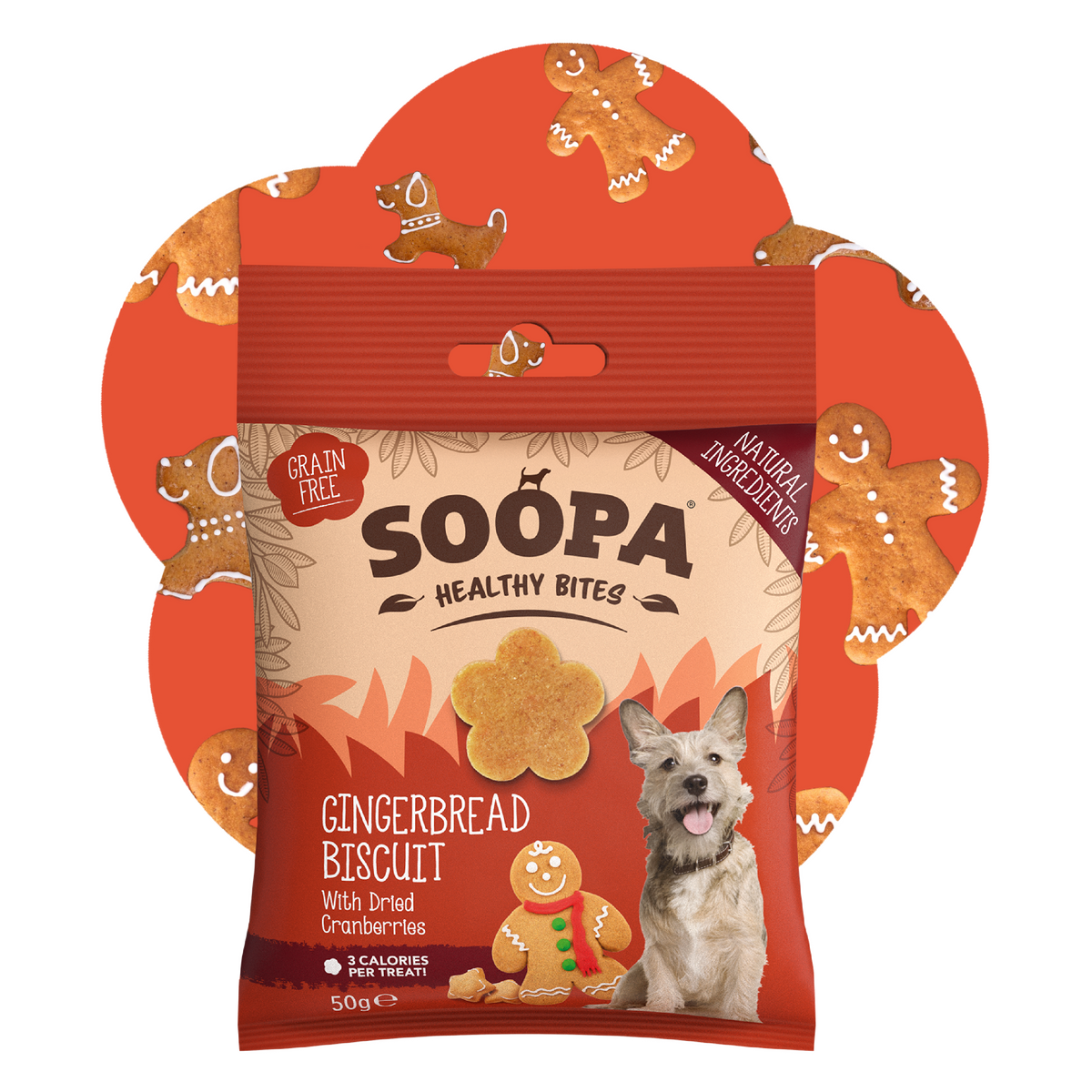 SOOPA HEALTHY BITES PRZYSMAK DLA PSA GINGERBREAD BISCUIT 50G