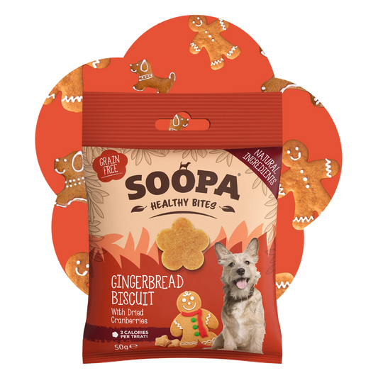 SOOPA HEALTHY BITES PRZYSMAK DLA PSA GINGERBREAD BISCUIT 50G