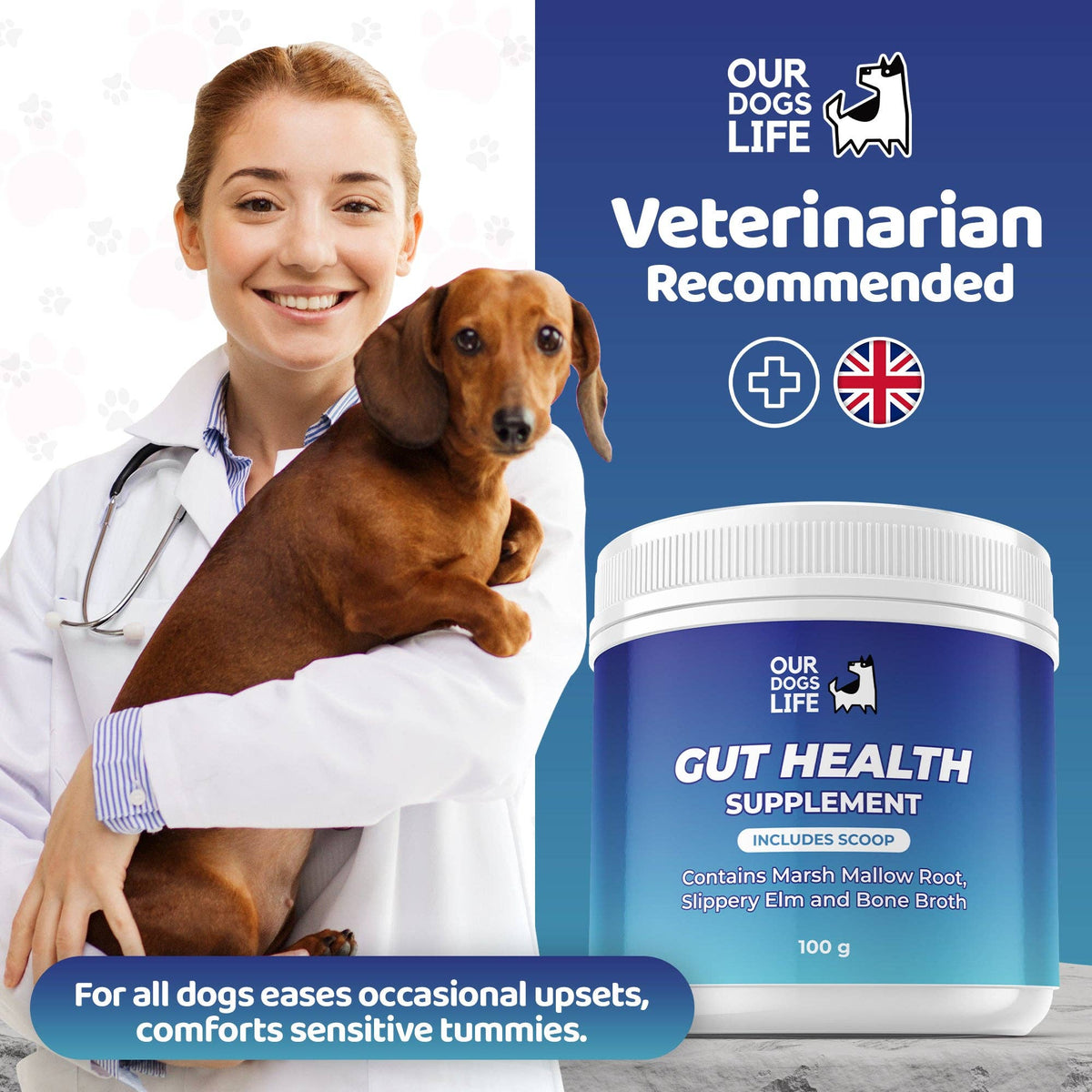 OURPETSLIFE SUPLEMENT W PROSZKU WSPOMAGAJĄCY ZDROWIE JELIT U PSÓW