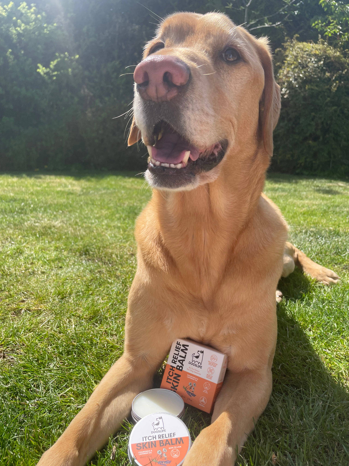 OURPETSLIFE BALSAM ŁAGODZĄCY SWĘDZENIE DLA PSÓW