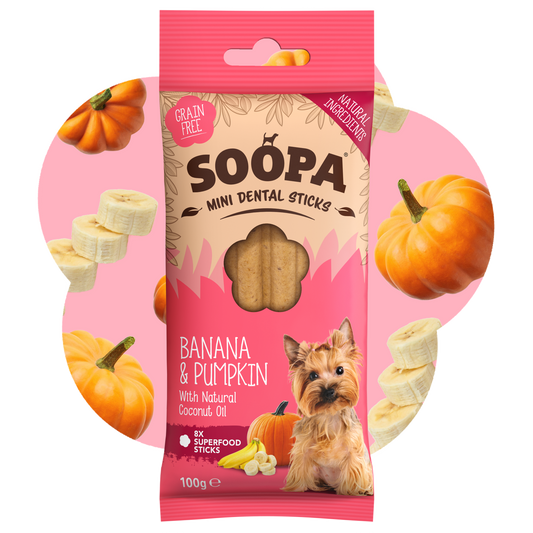 SOOPA MINI DENTAL STICK PRZYSMAK DLA PSA BANANA PUMPKIN 100G