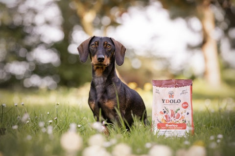 YDOLO MINI PÓŁWILGOTNA KARMA DLA PSA IBERICO 700G