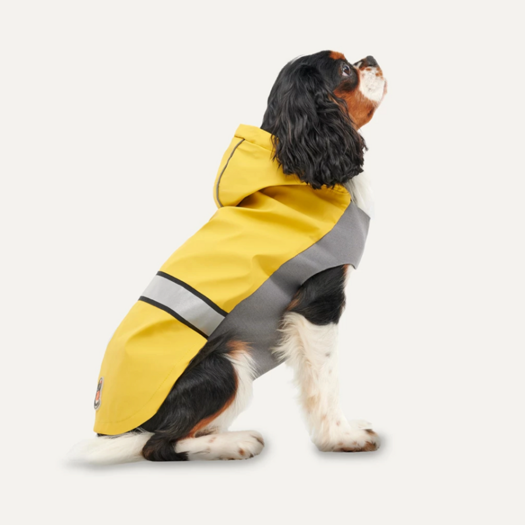 GOOEEZ REFLECTIVE HOODED RAINCOAT M YELLOW/GREY - PŁASZCZYK DLA PSIAKA
