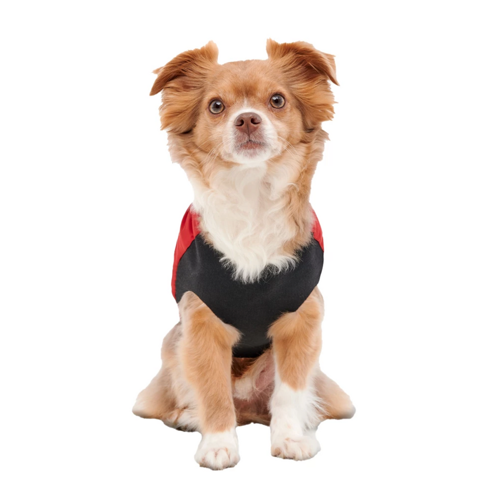 GOOEEZ MOCK NECK SIGNATURE JACKET L RED/BLACK - KURTECZKA DLA PSIAKA