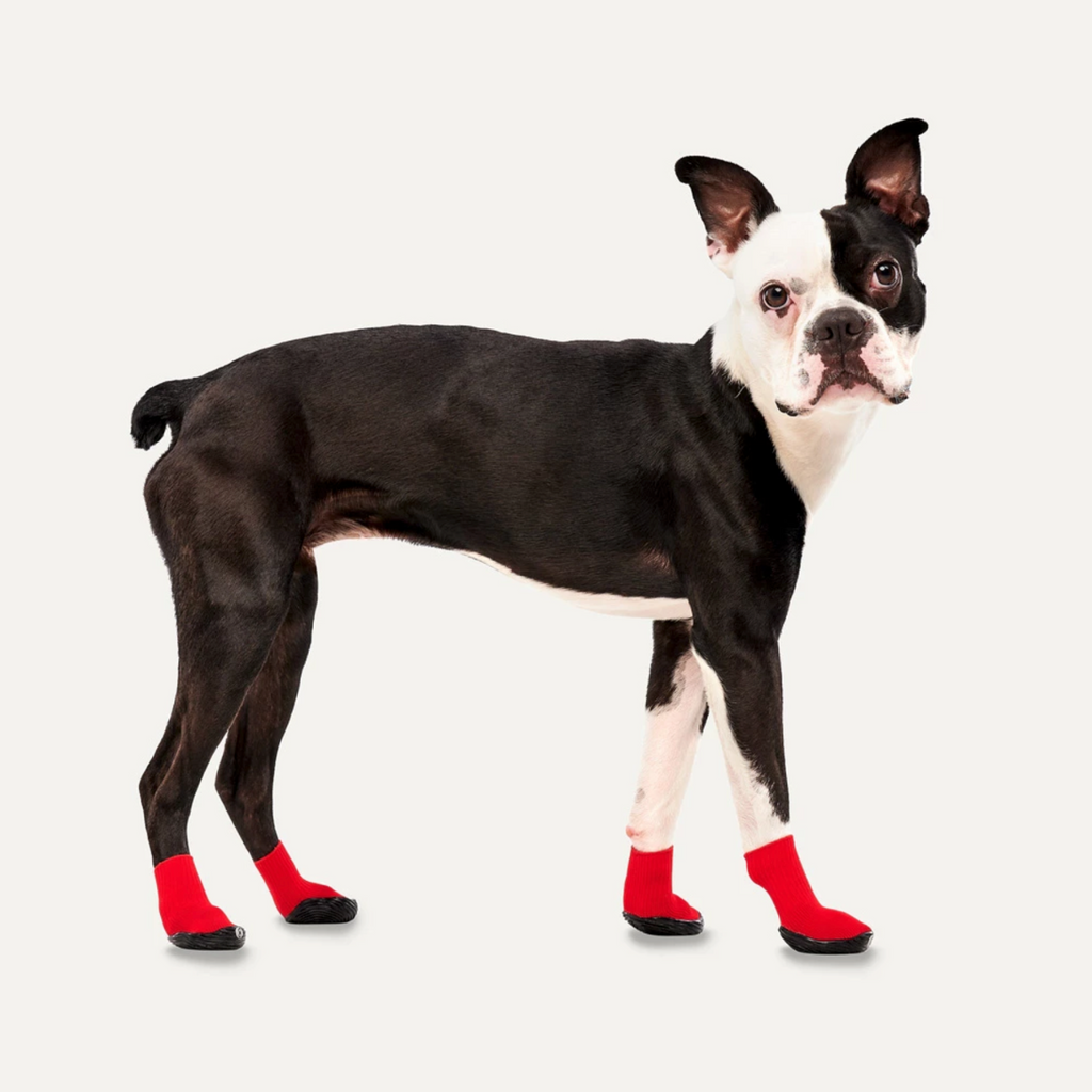 GOOEEZ LITES DOG BOOTIES (4-PACK) XS RED/BLACK - BUCIKI DLA PSIAKA
