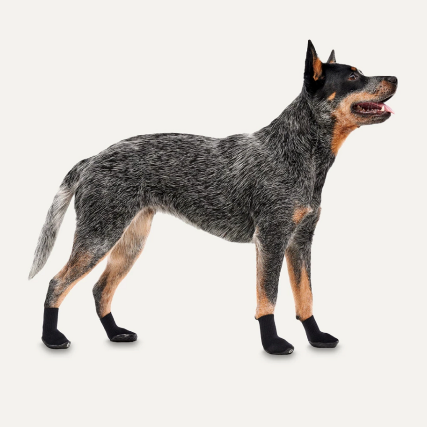 GOOEEZ LITES DOG BOOTIES (4-PACK) S BLACK/BLACK - BUCIKI DLA PSIAKA