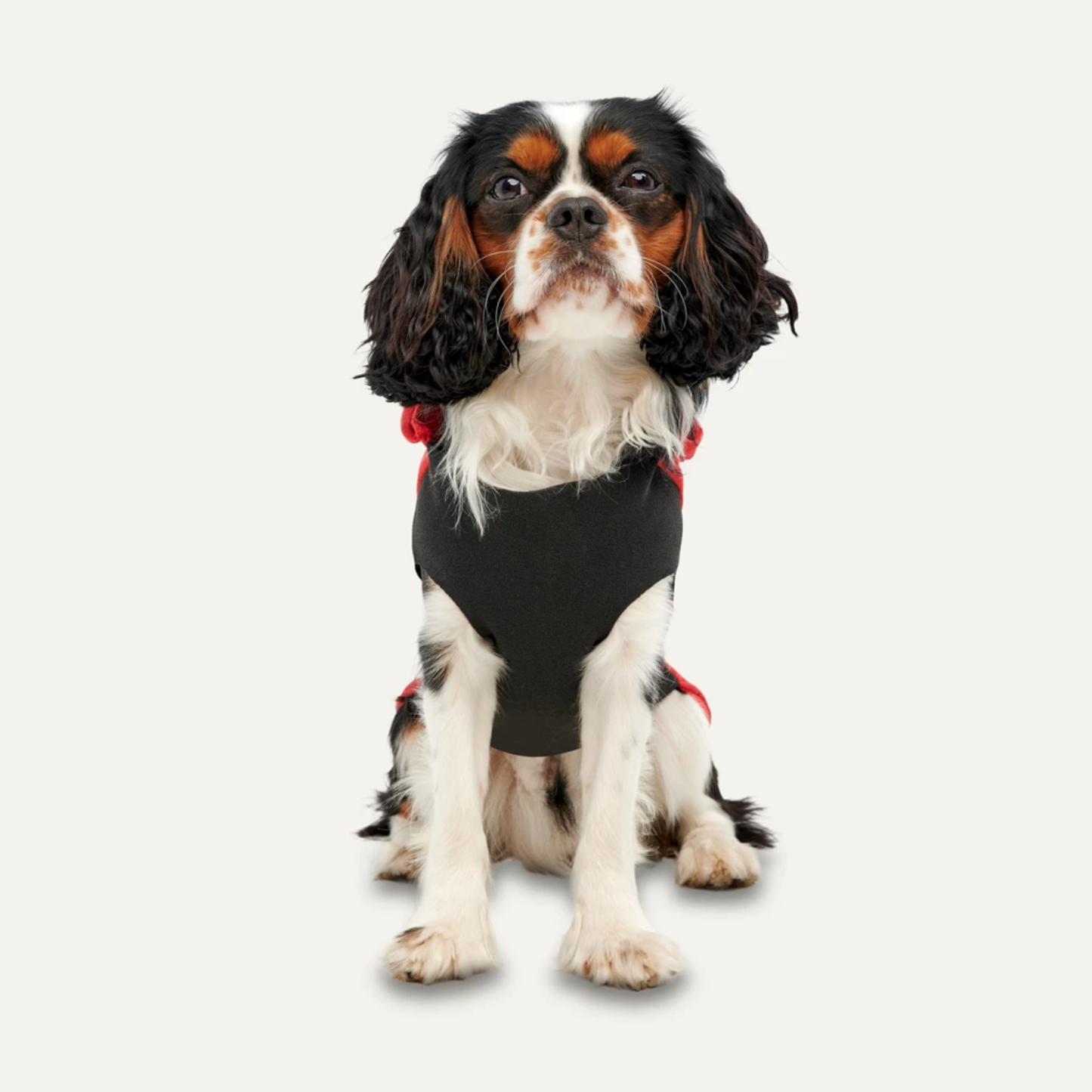 GOOEEZ KANGAROO FLEECE HOODIE 2XS RED/BLACK - BLUZA Z KAPTUREM
