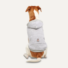 GOOEEZ KANGAROO FLEECE HOODIE S HEATHER GREY/GREY - BLUZA Z KAPTUREM