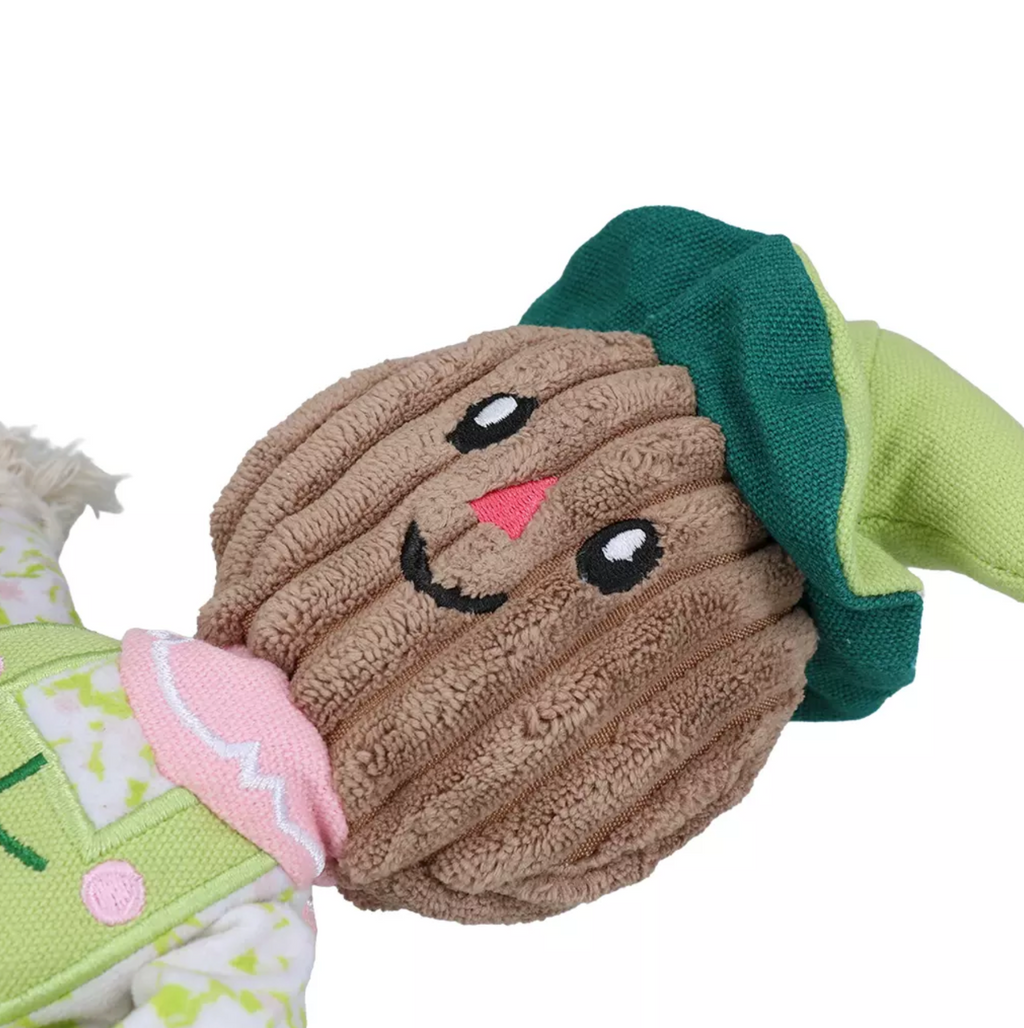 GARDEN PAWS SCARECROW INDY FIELDS S