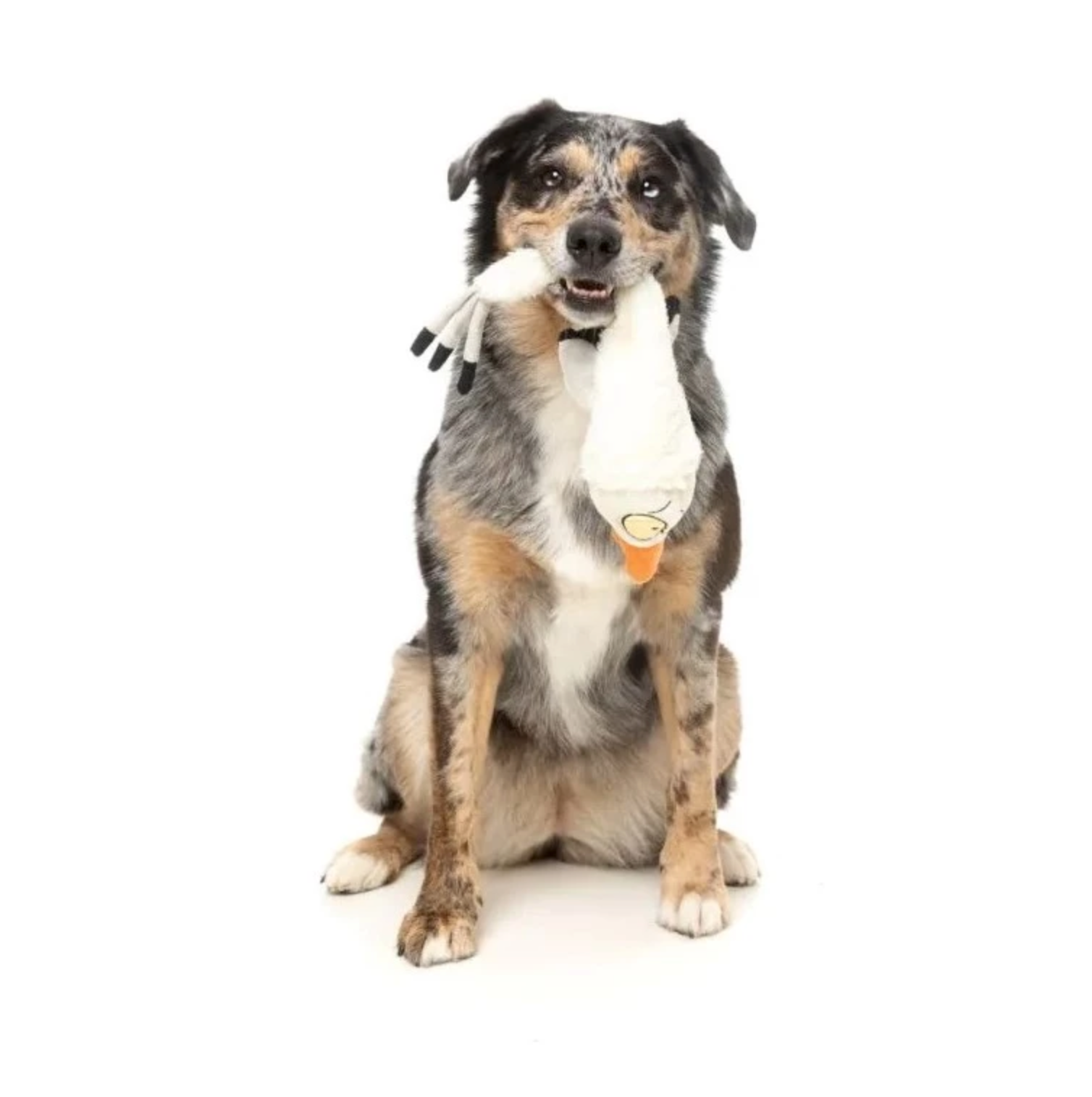 FUZZYARD THE YEETZ SEE YA SEAGULL - PLUSZOWA ZABAWKA