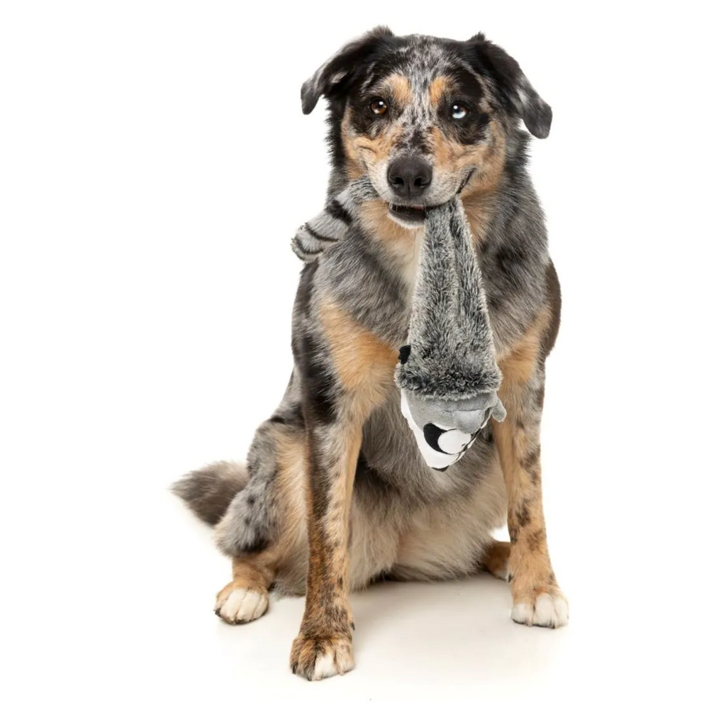 FUZZYARD THE YEETZ RUNG ALONE RACCOON - PLUSZOWA ZABAWKA