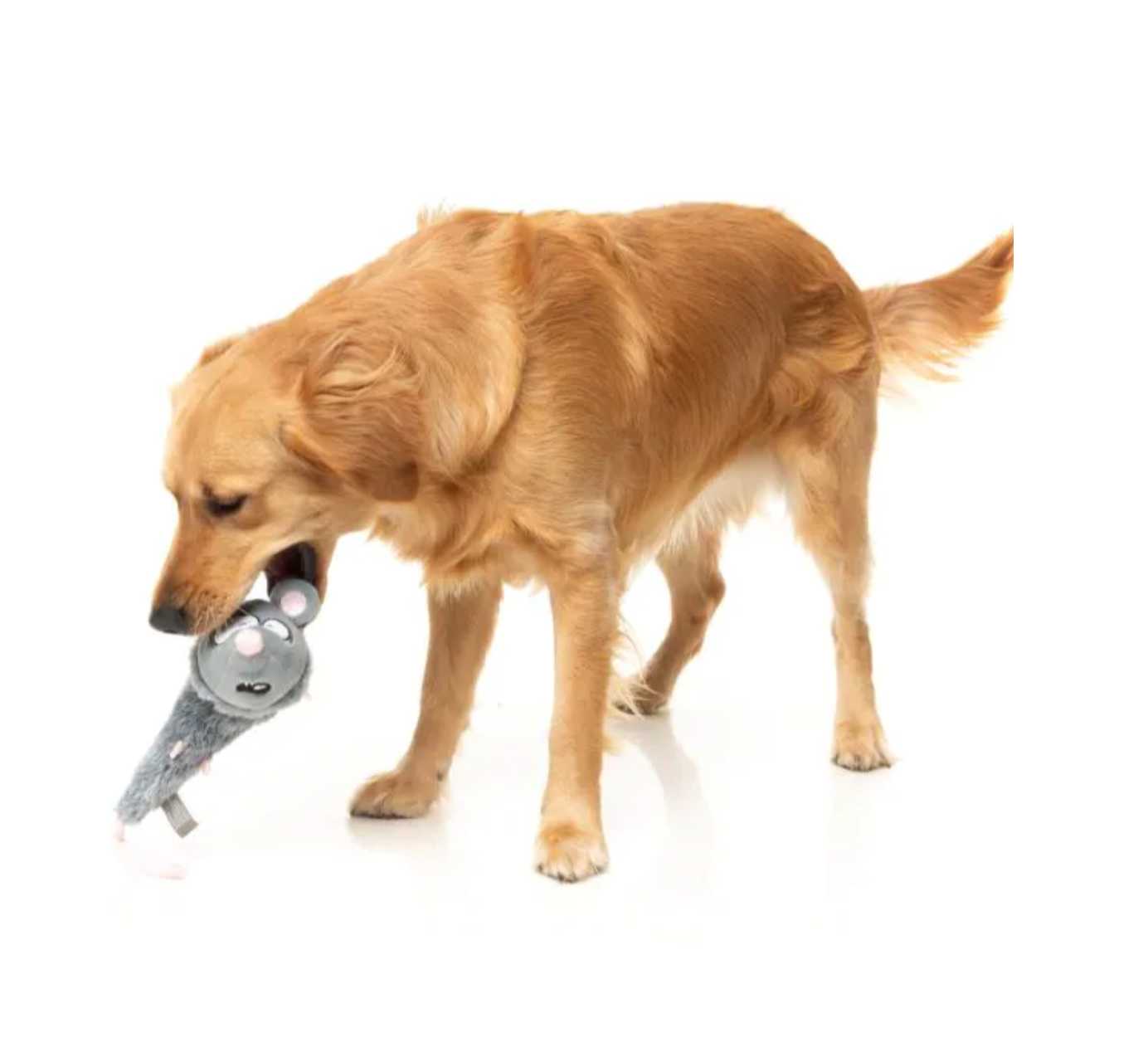 FUZZYARD THE YEETZ RACK OF RAT - PLUSZOWA ZABAWKA