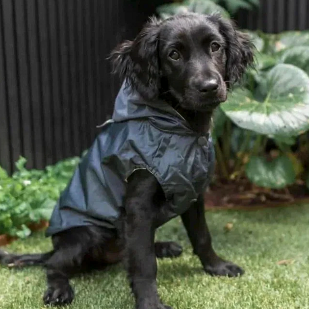 FUZZYARD LIFE RAINCOAT SLATE GREY S5