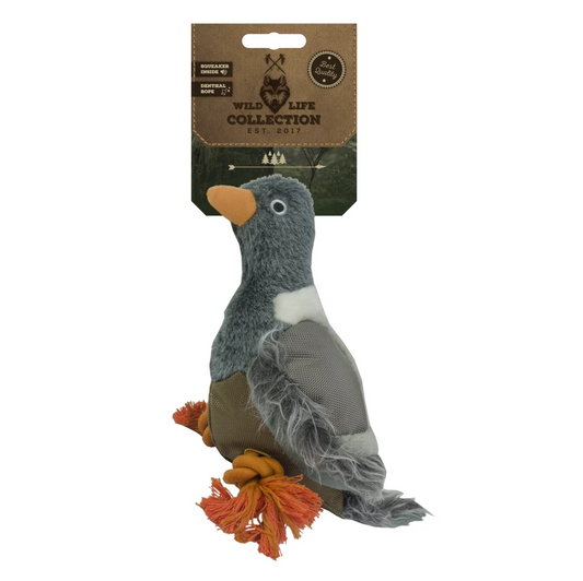 WILD LIFE DOG PIGEON
