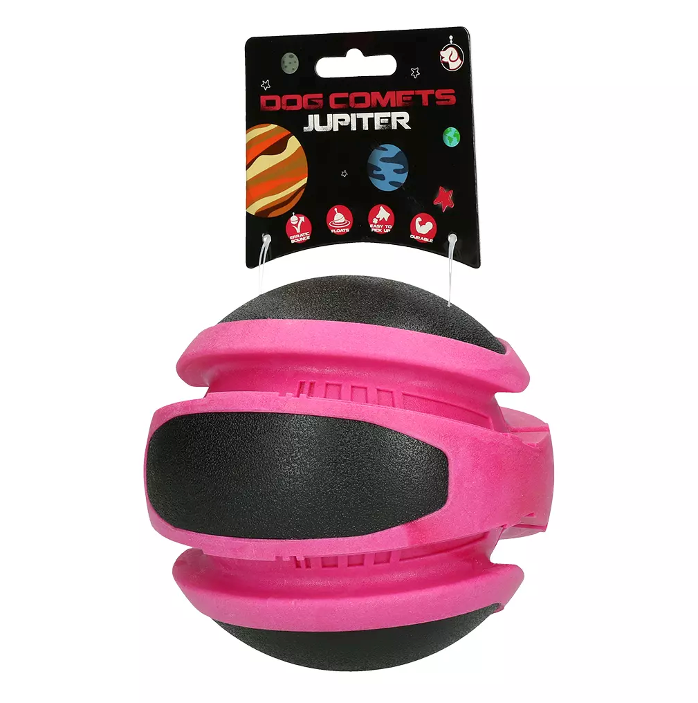 DOG COMETS PLANET JUPITER ROZE