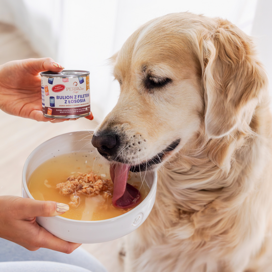 PERRO PIES KOT BULION Z FILETEM Z ŁOSOSIA 140G