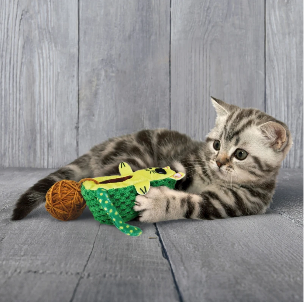 KONG WRANGLER AVOCATO