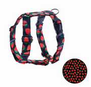 BANDIT PAWS SZELKI GUARD WOOFBERRY L