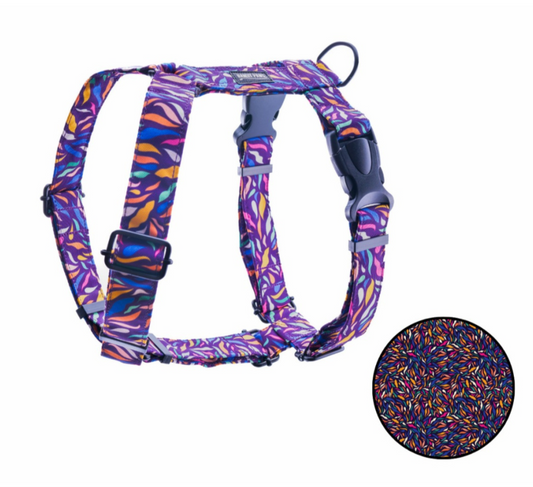 BANDIT PAWS SZELKI GUARD PAWCASSO L