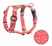 BANDIT PAWS SZELKI GUARD BARKNANA L
