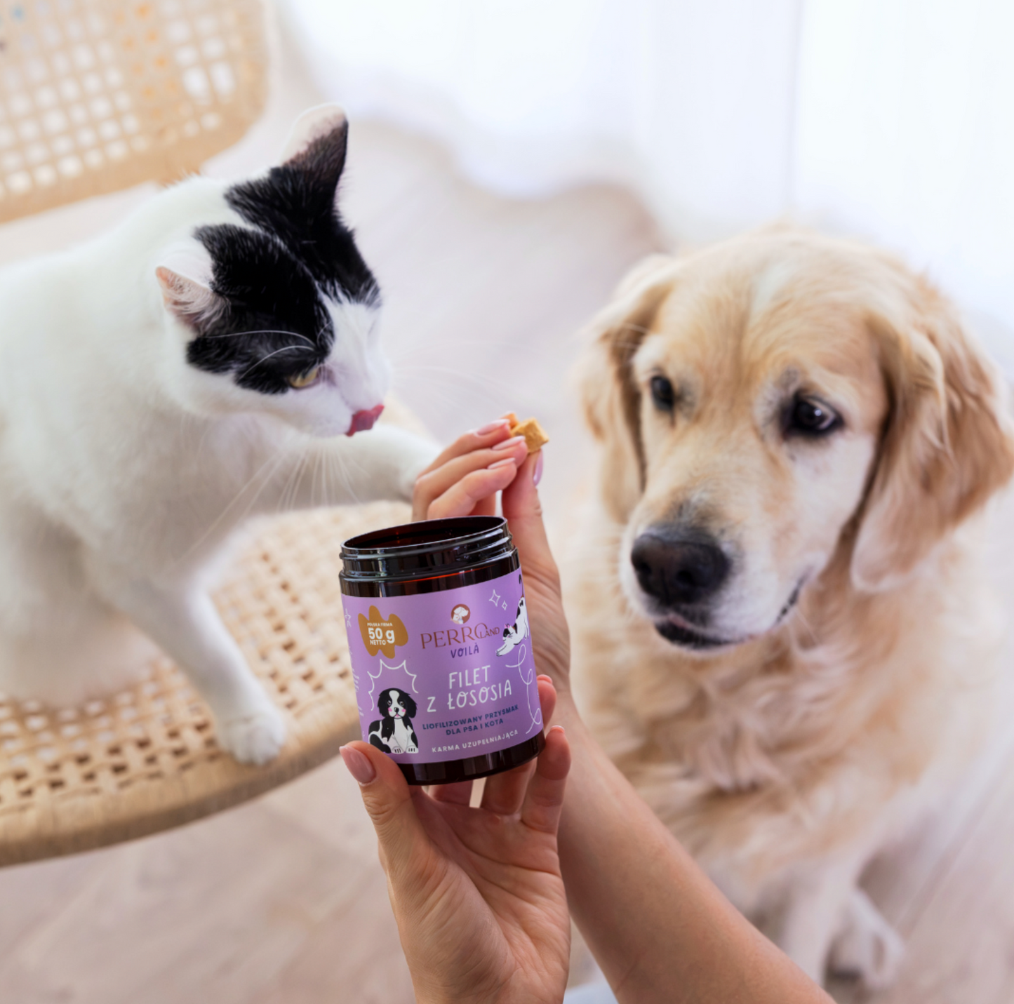 PERRO VOILA PIERŚ Z ŁOSOSIA 50G - LIOFILIZOWANY PRZYSMAK DLA PSA I KOTA