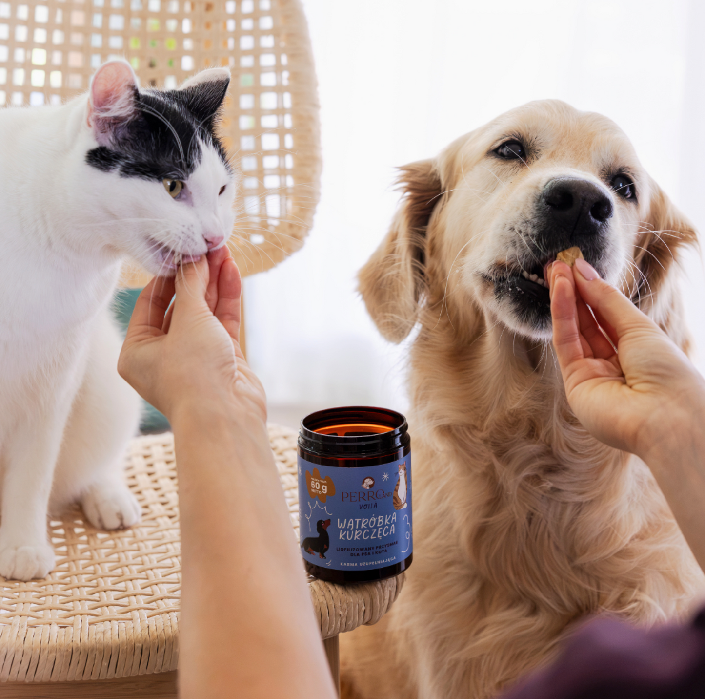 PERRO VOILA WĄTRÓBKA KURCZĘCA 60G - LIOFILIZOWANY PRZYSMAK DLA PSA I KOTA