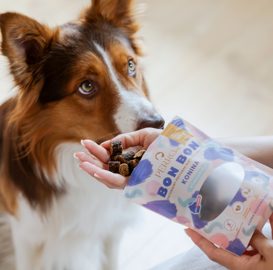 PERRO BON BON PRZYSMAKI DLA PSA KONINA 80G