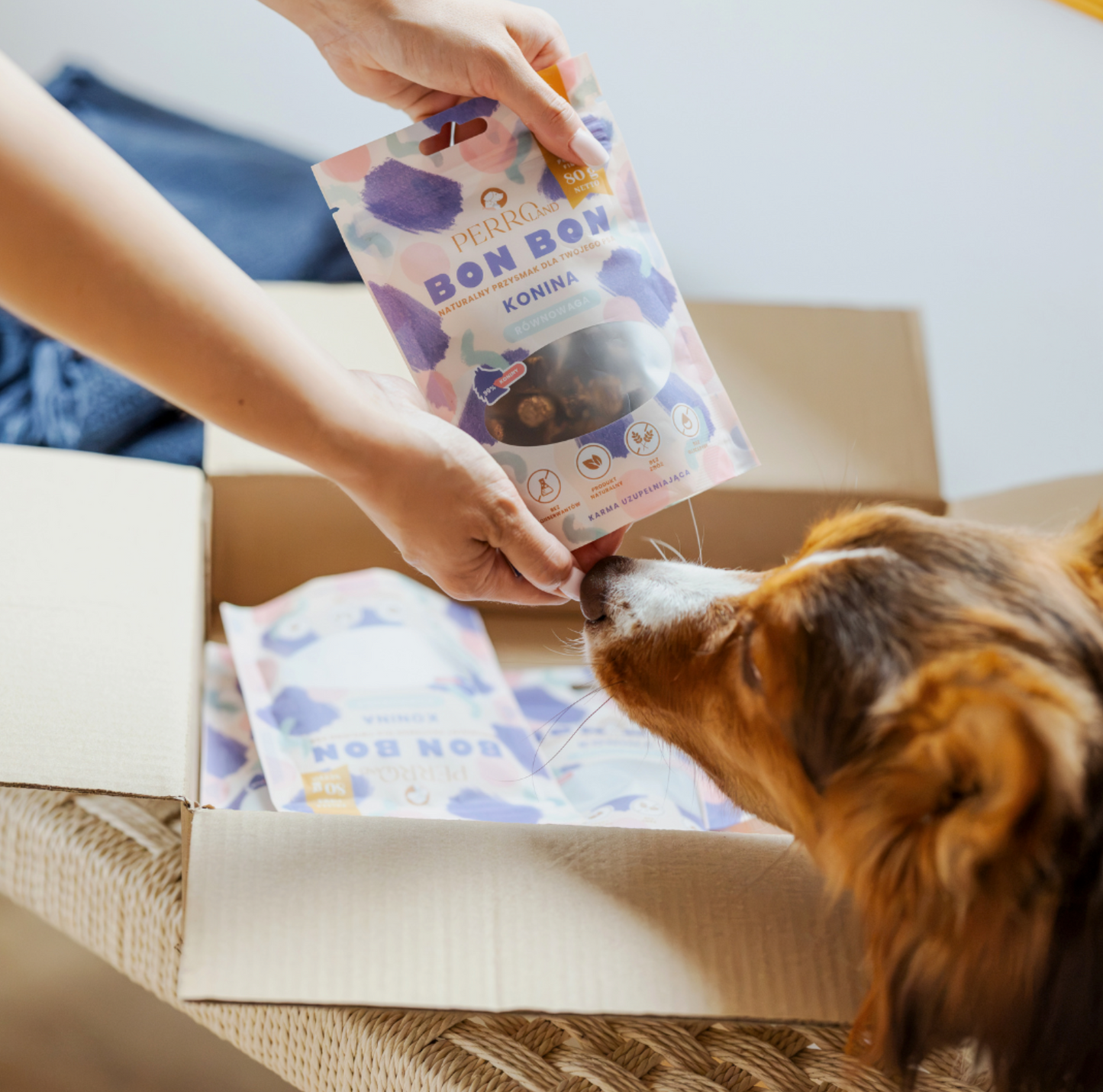 PERRO BON BON PRZYSMAKI DLA PSA KONINA 80G