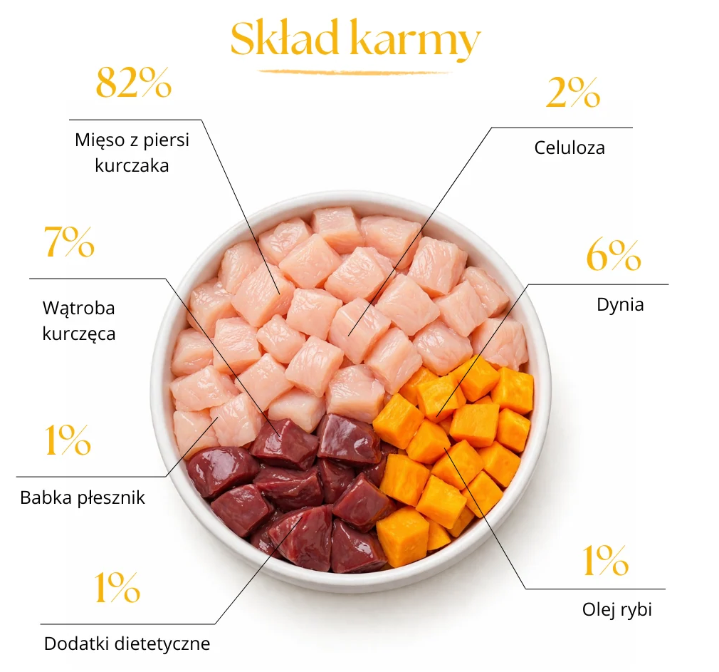 DR MALOU SOUP LIOFILIZOWANA ZUPKA DLA KOTA KURCZAK Z DYNIĄ 12G