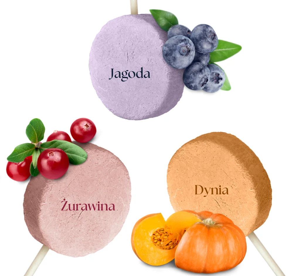 DR MALOU SNACKS LIZAKI LIOFILIZOWANE DLA PSA MIX SMAKÓW 6SZT