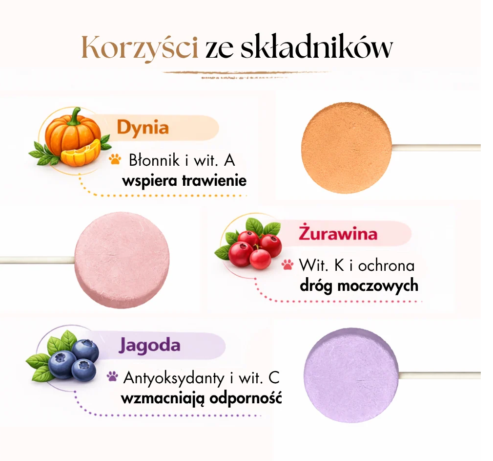 DR MALOU SNACKS LIZAKI LIOFILIZOWANE DLA PSA MIX SMAKÓW 6SZT