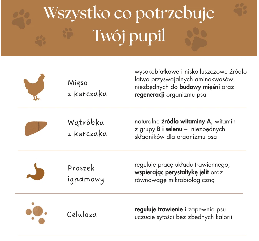 DR MALOU SNACKS LIZAKI LIOFILIZOWANE DLA PSA MIX SMAKÓW 6SZT