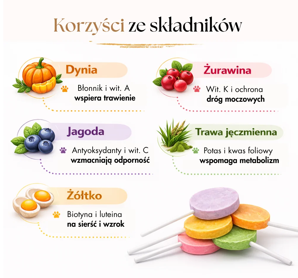 DR MALOU SNACKS LIZAKI LIOFILIZOWANE DLA KOTA MIX SMAKÓW 15SZT