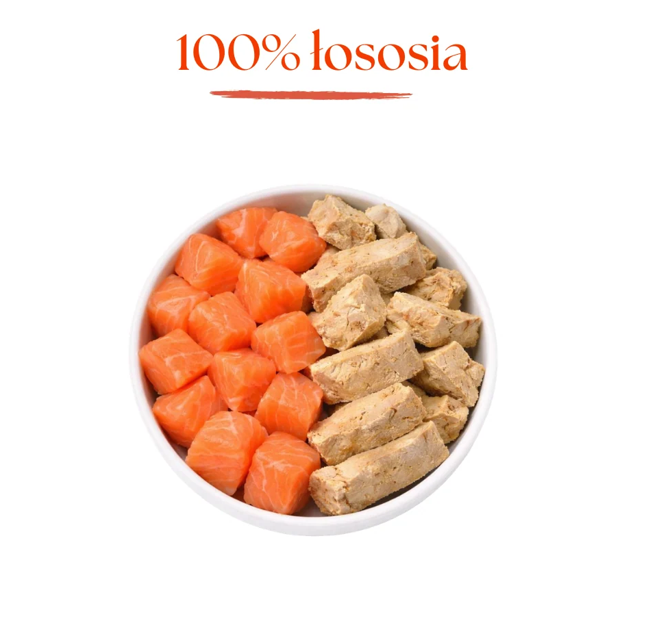 DR MALOU SNACKS LIOFILIZOWANY PRZYSMAK DLA PSA ŁOSOŚ 50G