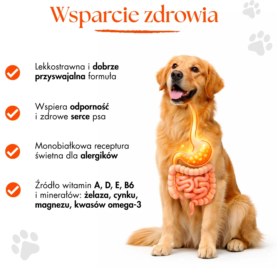 DR MALOU SNACKS LIOFILIZOWANY PRZYSMAK DLA PSA ŁOSOŚ 50G