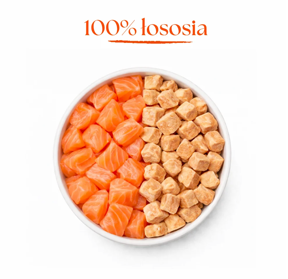 DR MALOU SNACKS LIOFILIZOWANY PRZYSMAK DLA KOTA ŁOSOŚ 50G