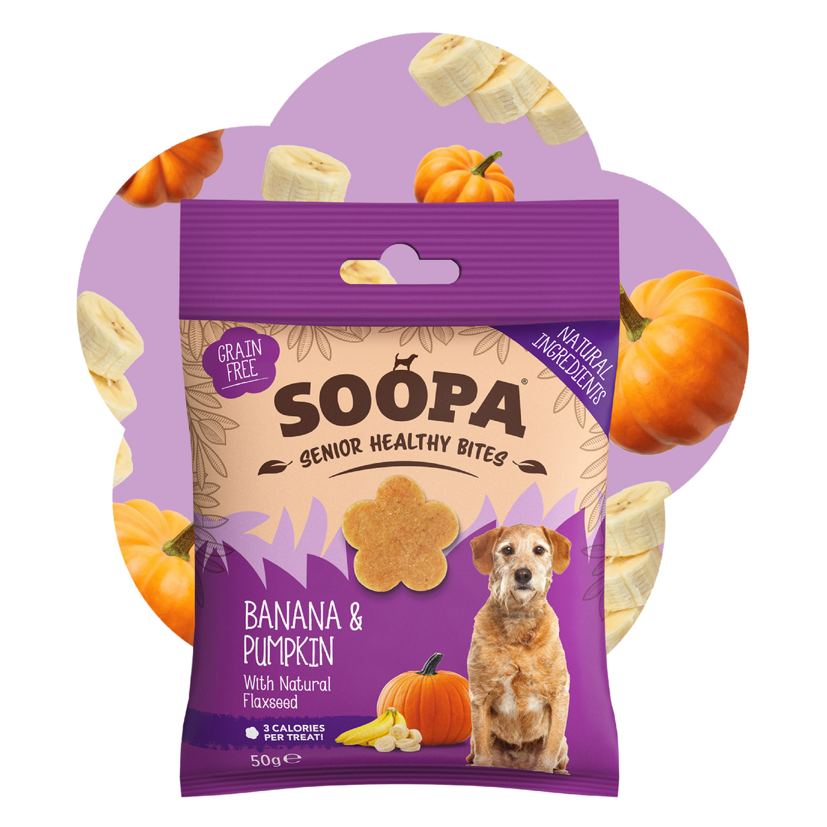 SOOPA SENIOR HEALTHY BITES PRZYSMAK DLA PSA BANANA PUMPKIN 50G