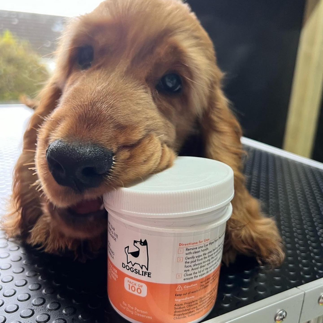 OURPETSLIFE CHUSTECZKI DO OCZU DLA PSÓW