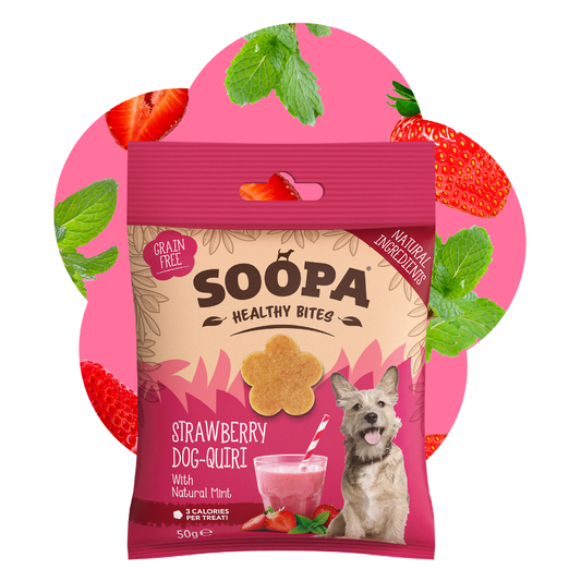 SOOPA HEALTHY BITES PRZYSMAK DLA PSA STRAWBERRY DOG-QUIRI 50G