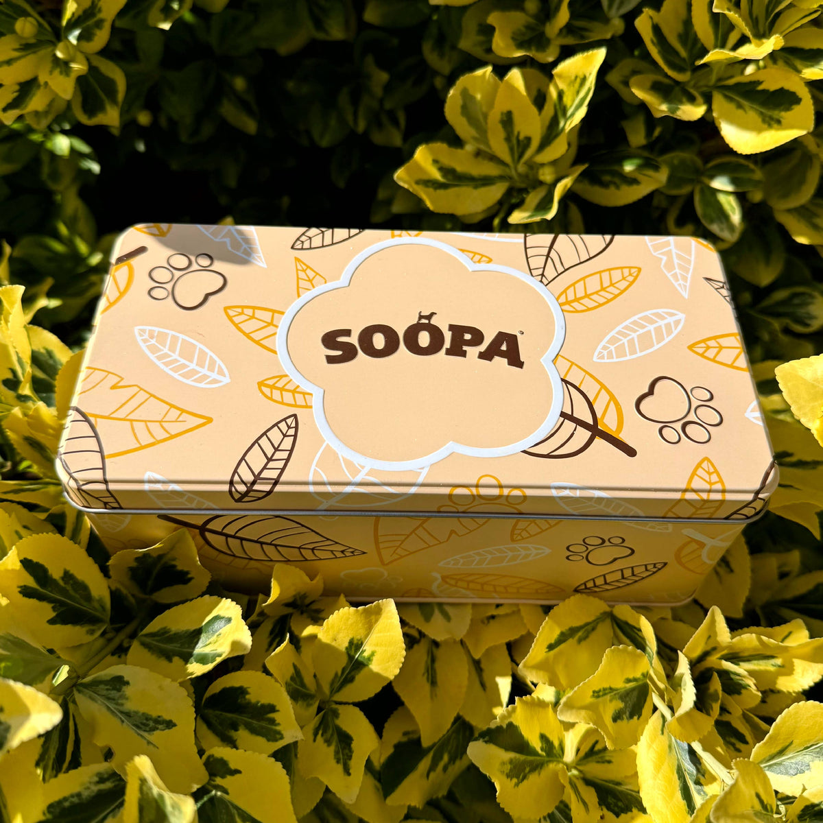 SOOPA PUSZKA NA PRZYSMAKI