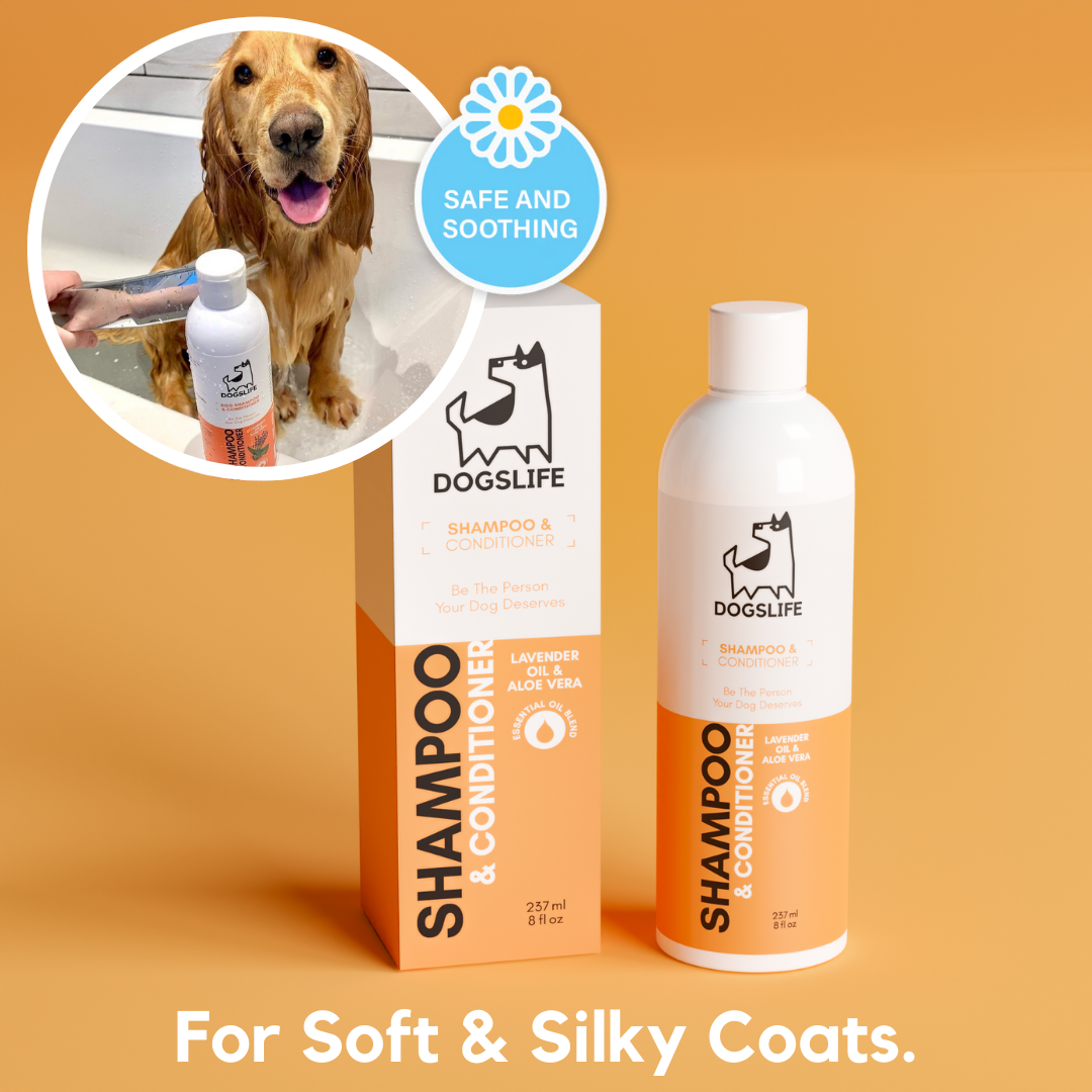 OURPETSLIFE SZAMPON I ODŻYWKA 2 W 1 DLA PSÓW