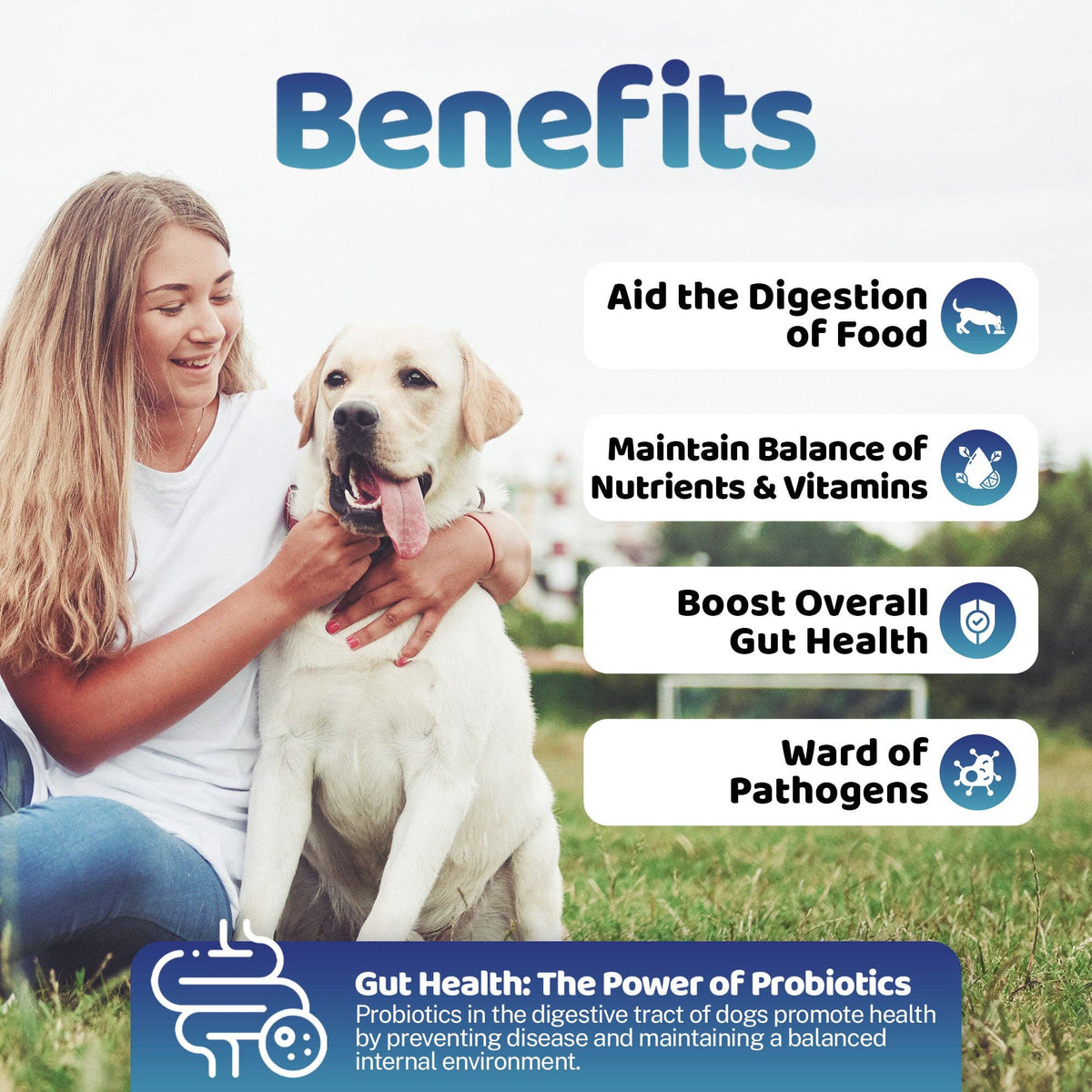 OURPETSLIFE SUPLEMENT W PROSZKU WSPOMAGAJĄCY ZDROWIE JELIT U PSÓW