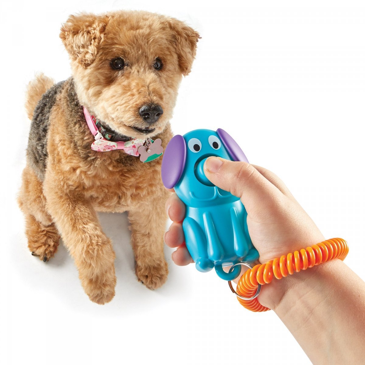 BRIGHTKINS SMARTY POOCH TRAINING CLICKER PIESEK