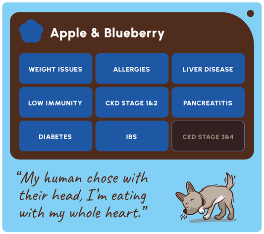 SOOPA HEALTHY BITES PRZYSMAK DLA PSA APPLE BLUEBERRY 50G