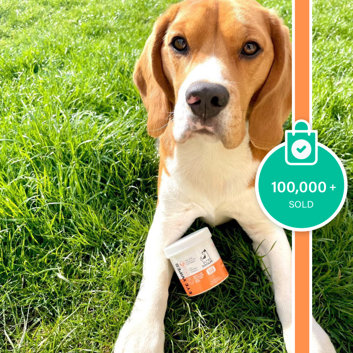 OURPETSLIFE CHUSTECZKI DO OCZU DLA PSÓW